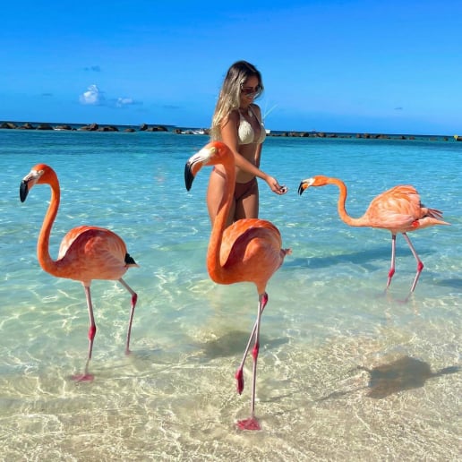 los mejores viajes a Aruba desde Medellin