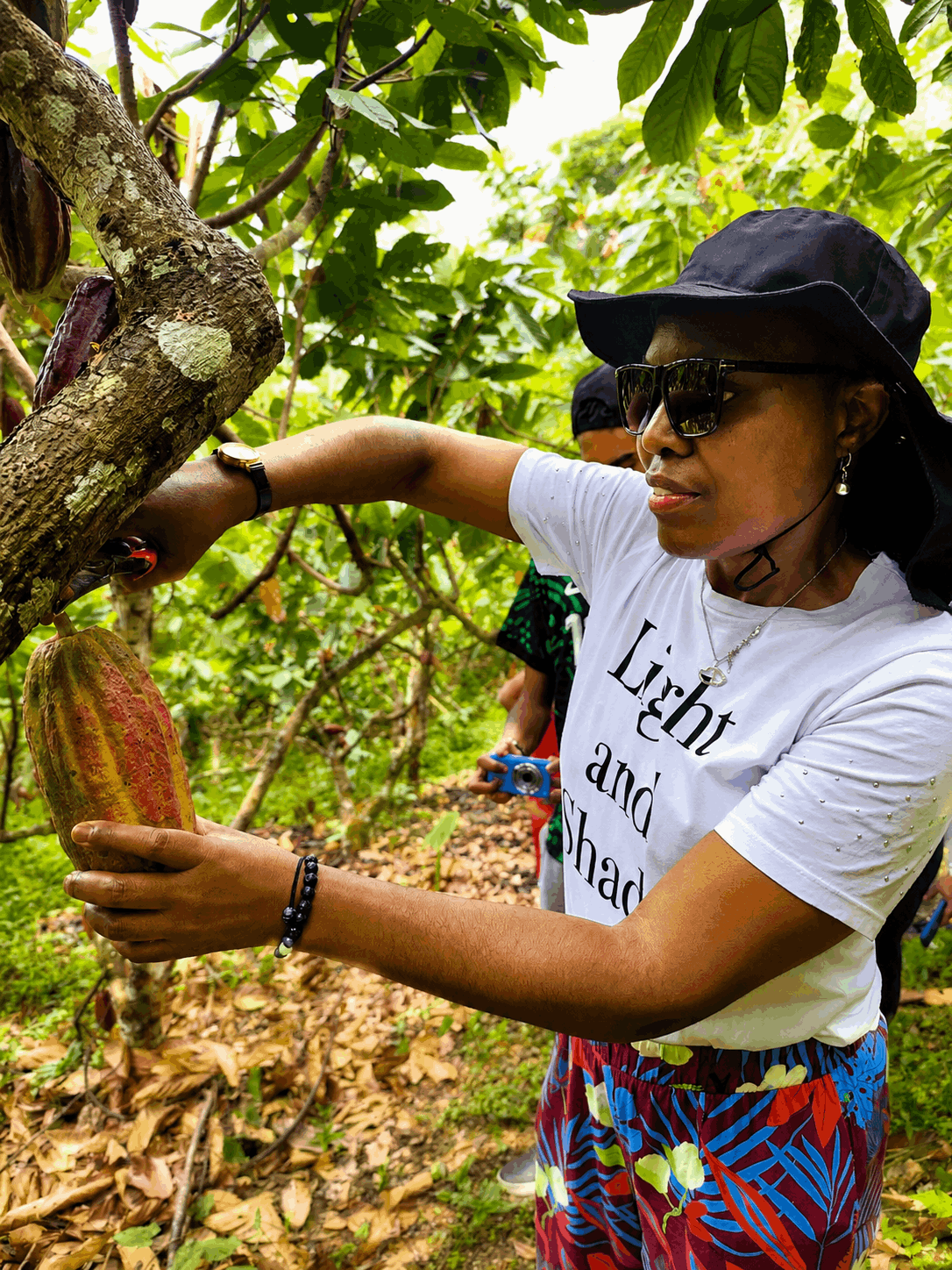 experiencia de cacao en Amalfi Antioquia