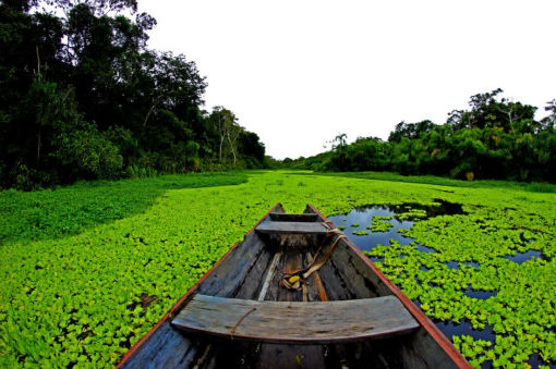 Planes al Amazonas