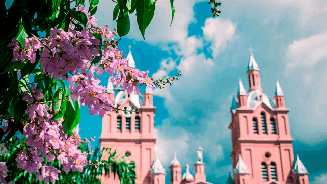 excursion a Buga desde Medellin