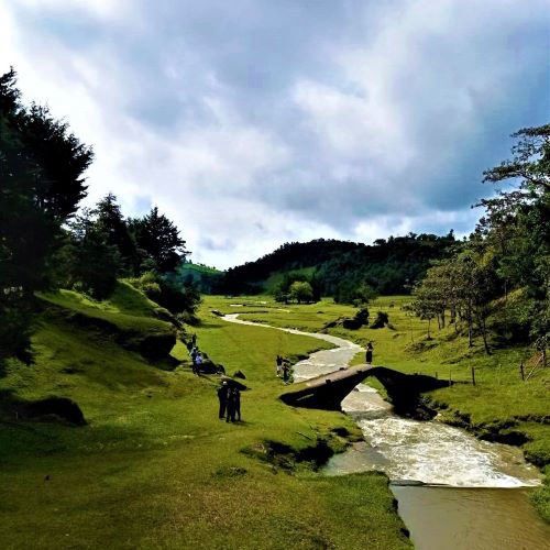 Concepción - El Canelo