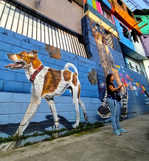 Medellin_costelaciones_comuna_3_tour