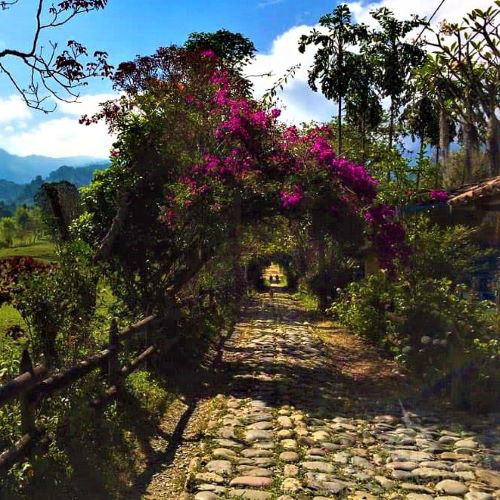 Enamorate de Jardin - Camino de la Herrera