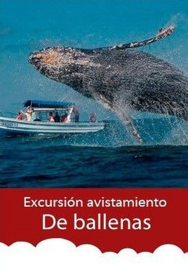 Excursión-avistamiento-de-ballenas-desde-Medellín