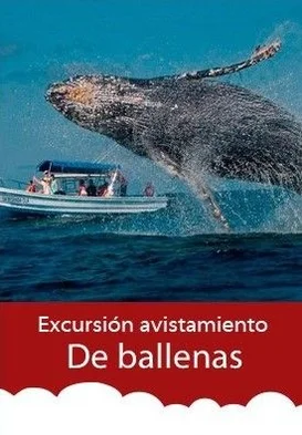 Excursión-avistamiento-de-ballenas-desde-Medellín-con-Viajes-de-Pueblo-en-Pueblo