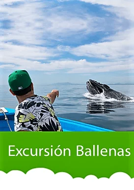 excursión-ballenas-en-familia con Viajes de pueblo en pueblo