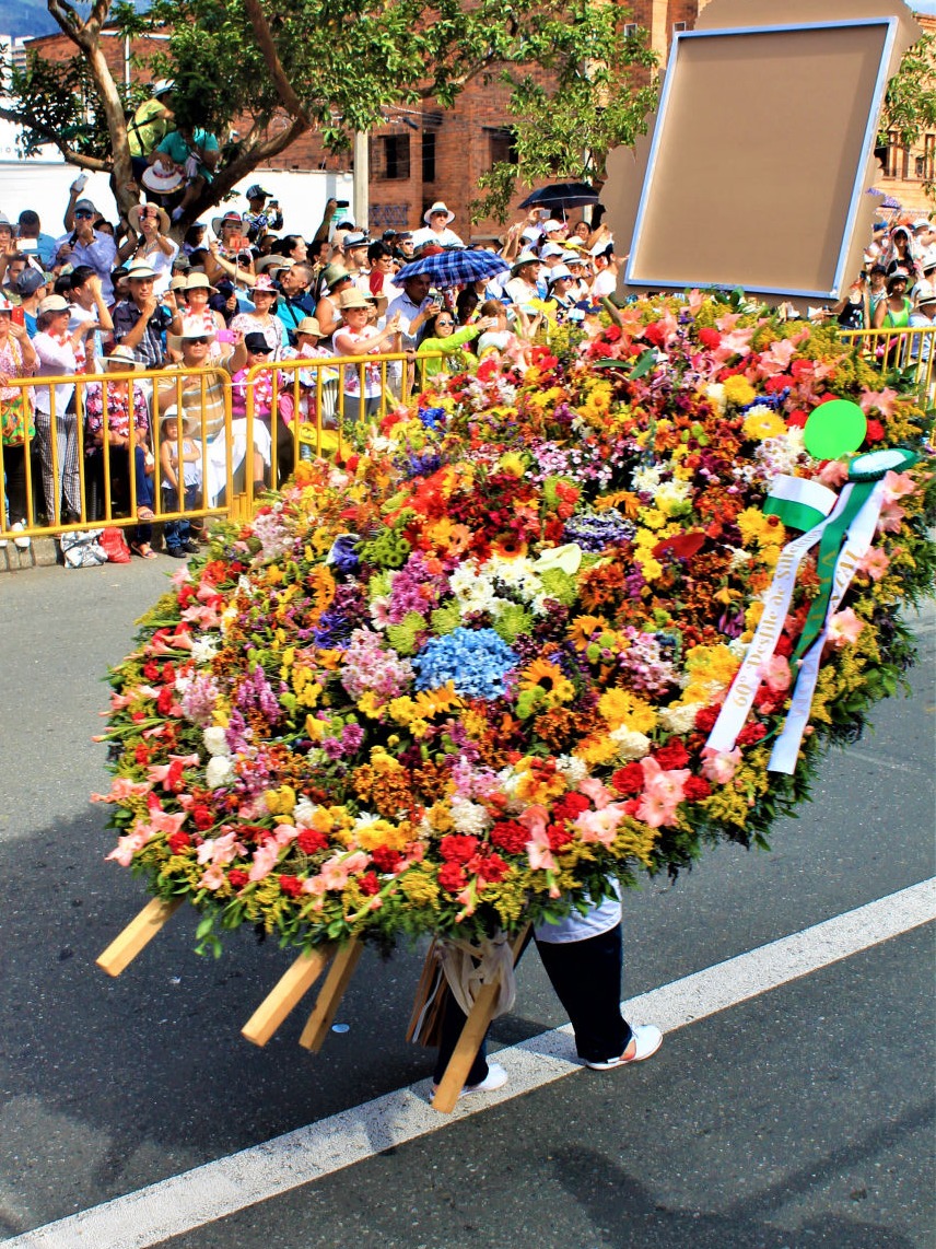 palcos desfile de silleteros