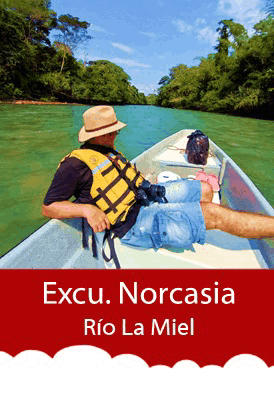 Plan Norcasia rio la miel