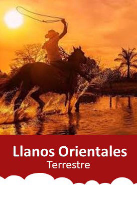 Excursión-terrestre-llanos-orientales