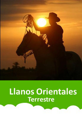 Plan-excursion-llano-orientales