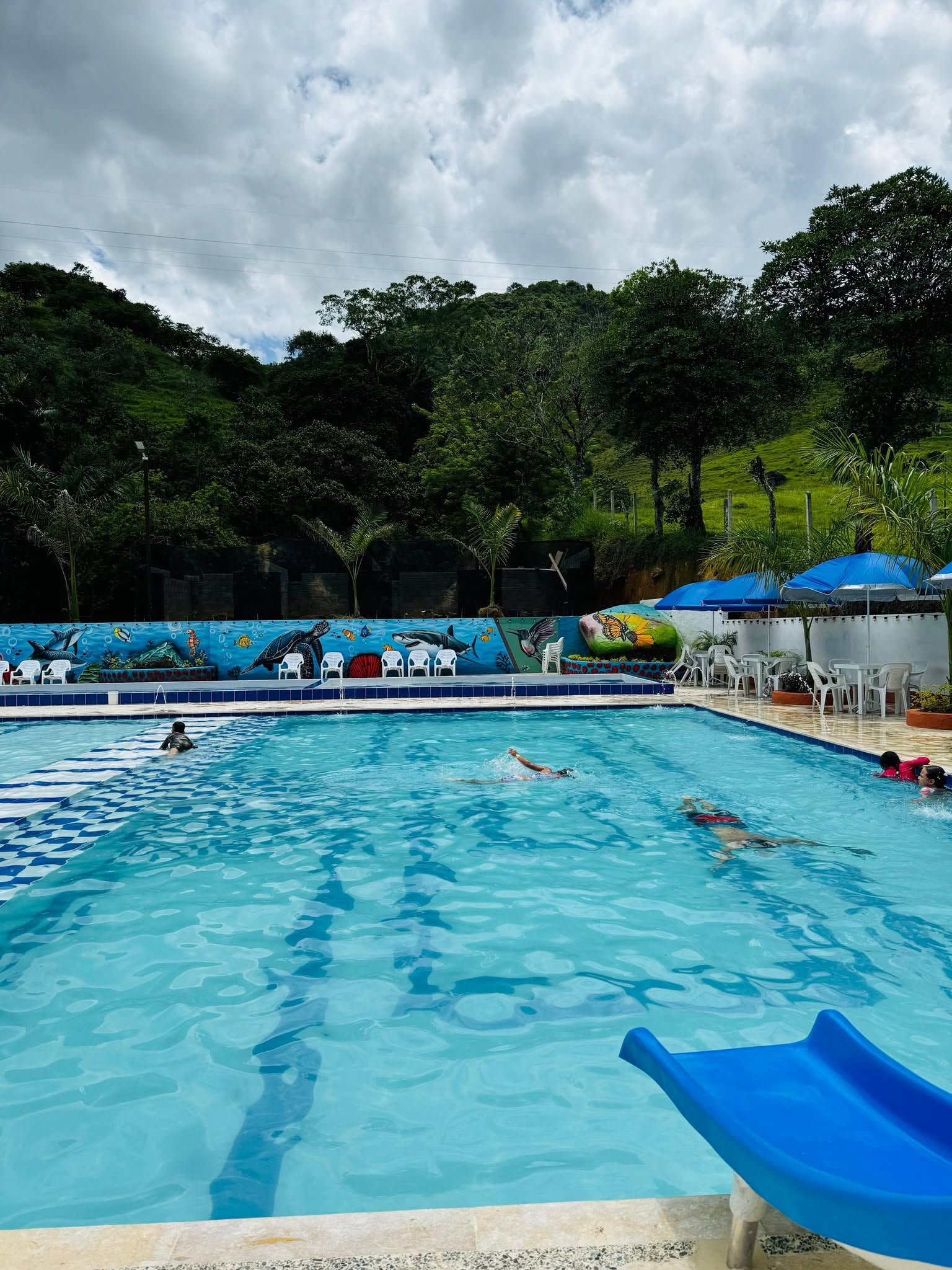 Tour a Cisneros