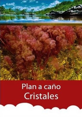 plan-a-caño-cristales-desde-Medellín-