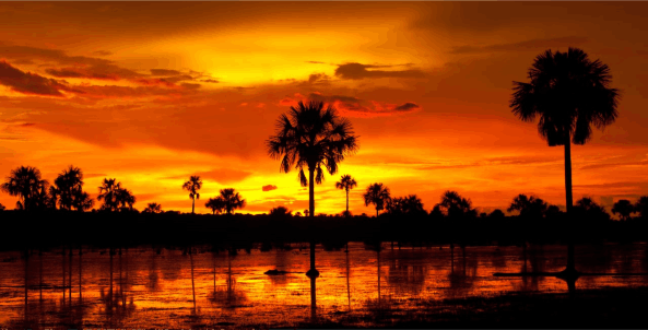 Llanos Orientales