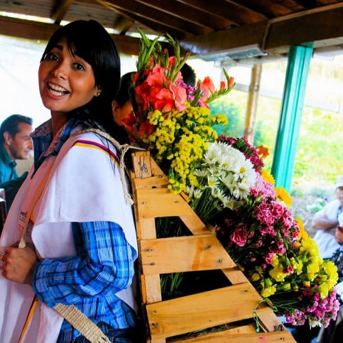Flores