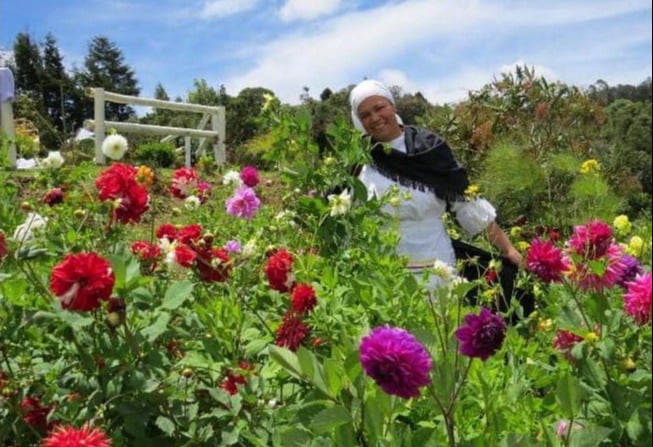 Tour de Flores