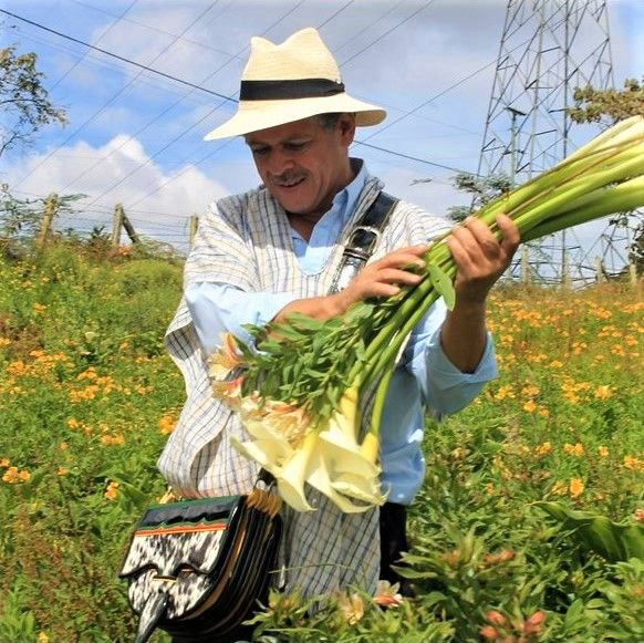 Silletas, Parranda y Flores