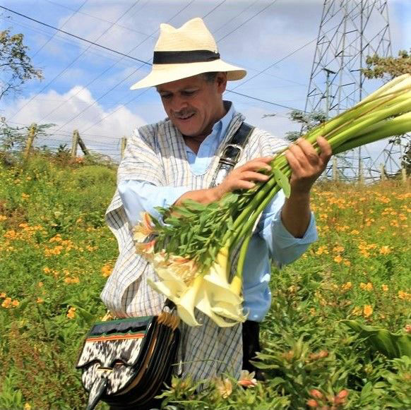 Silletas, Parranda y Flores