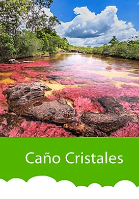 viaje-a-caño-cristales