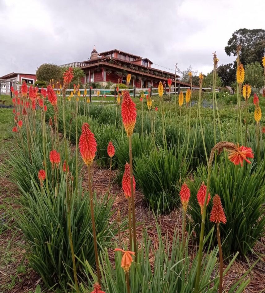 Eco-parque-jardín-silltero-santa-elena