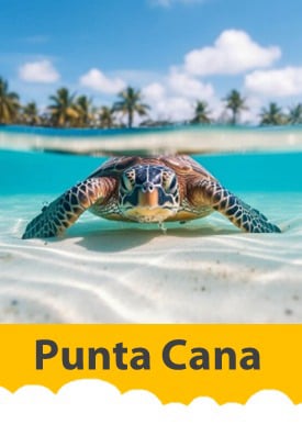 planes y viajes a punta cana republica dominicana