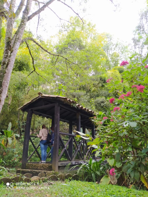 Jericó jardín Botánico